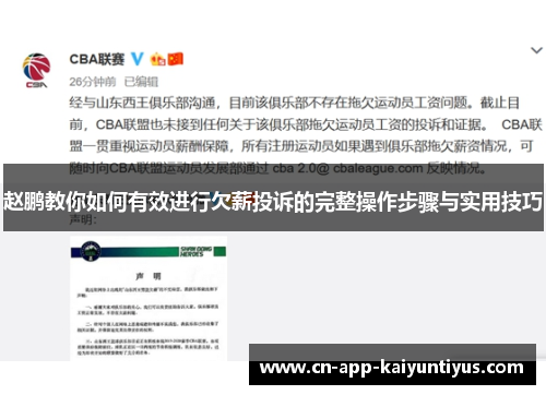 赵鹏教你如何有效进行欠薪投诉的完整操作步骤与实用技巧 赵鹏教你如何有效进行欠薪投诉的完整操作步骤与实用技巧