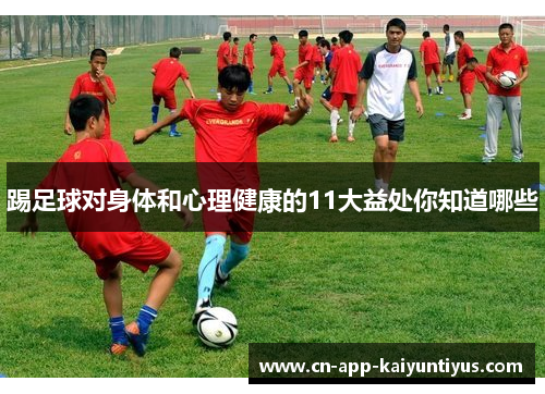 踢足球对身体和心理健康的11大益处你知道哪些 踢足球对身体和心理健康的11大益处你知道哪些
