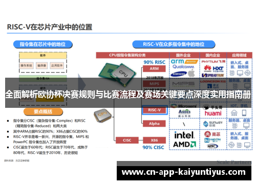 全面解析欧协杯决赛规则与比赛流程及赛场关键要点深度实用指南册