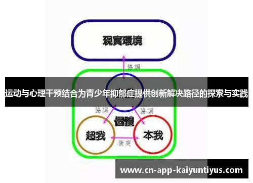 运动与心理干预结合为青少年抑郁症提供创新解决路径的探索与实践